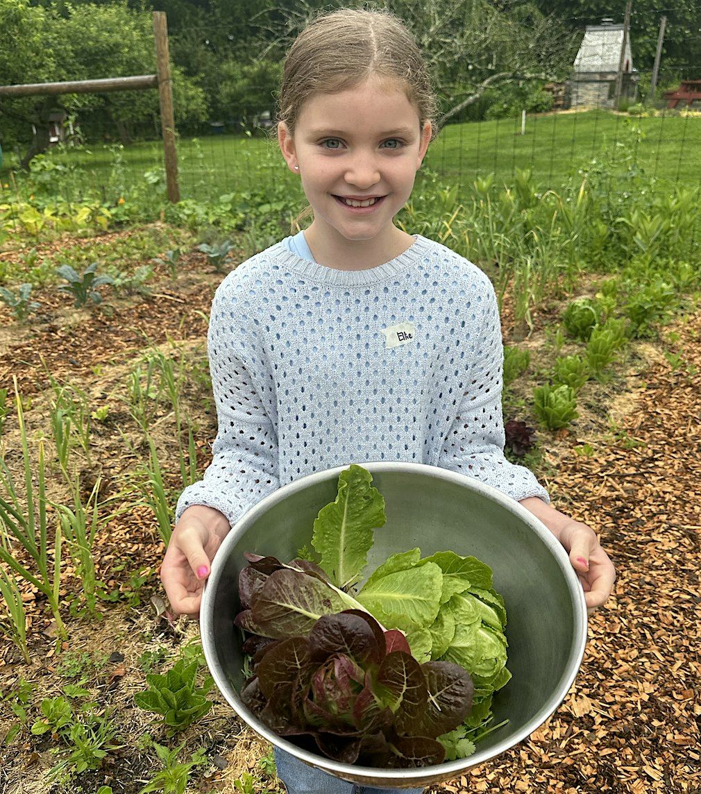 Spring Cooking for Kids Series, Gr 2-6