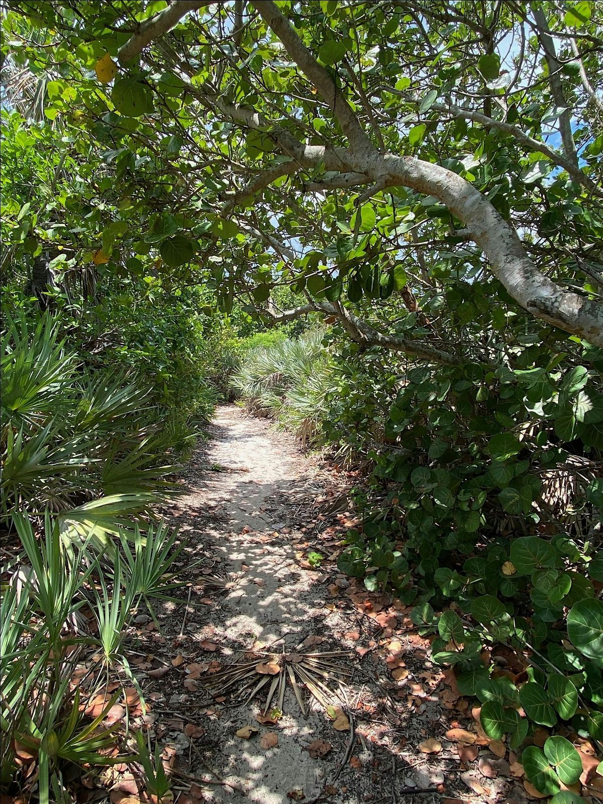 Dune to Lagoon Guided Hike
