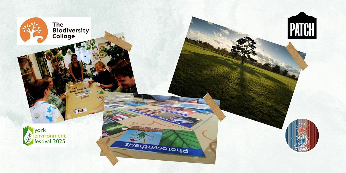 York! Get to grips with the Ecological Crisis @ Patch