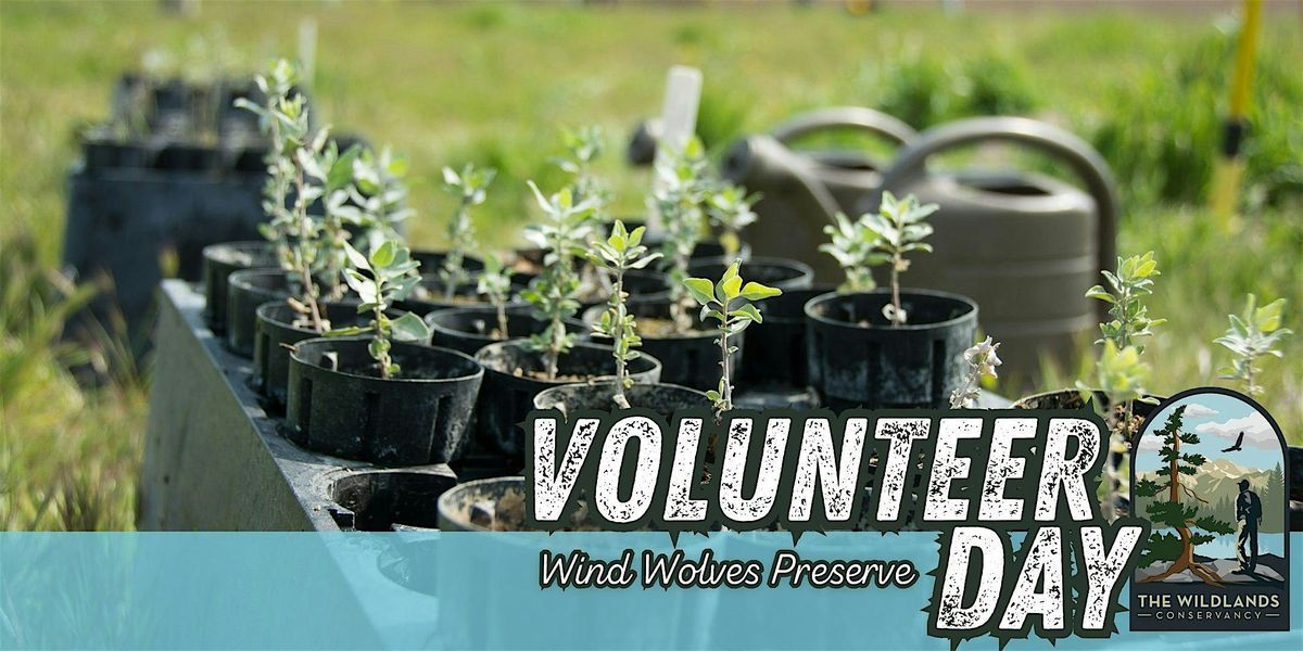 Volunteer Day: Backcountry Planting- Wind Wolves Preserve