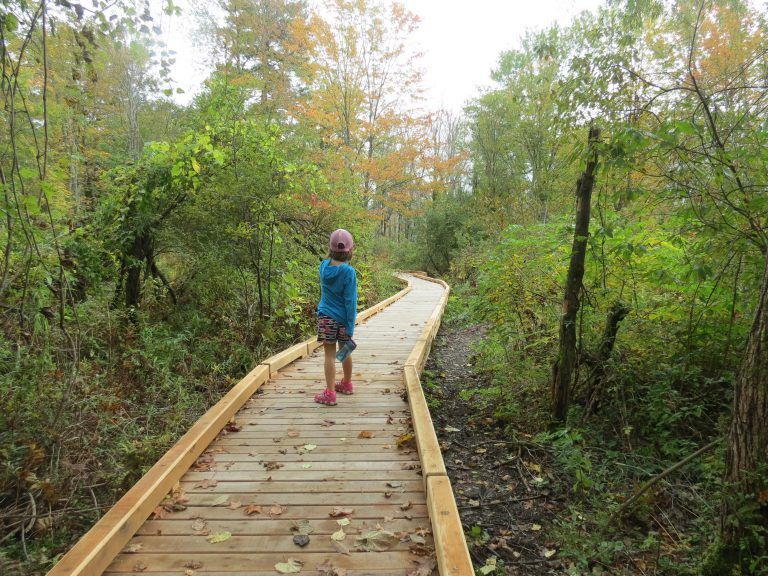 Family Spring Discovery Hike at Parsons Marsh, Lenox