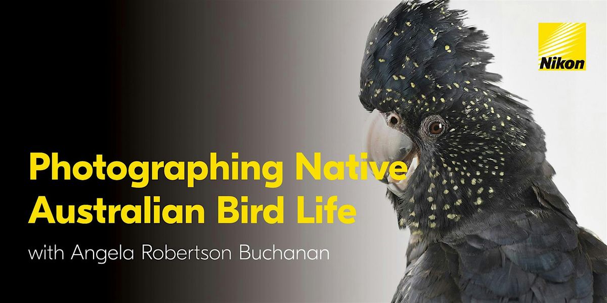 Photographing Native Australian Birdlife