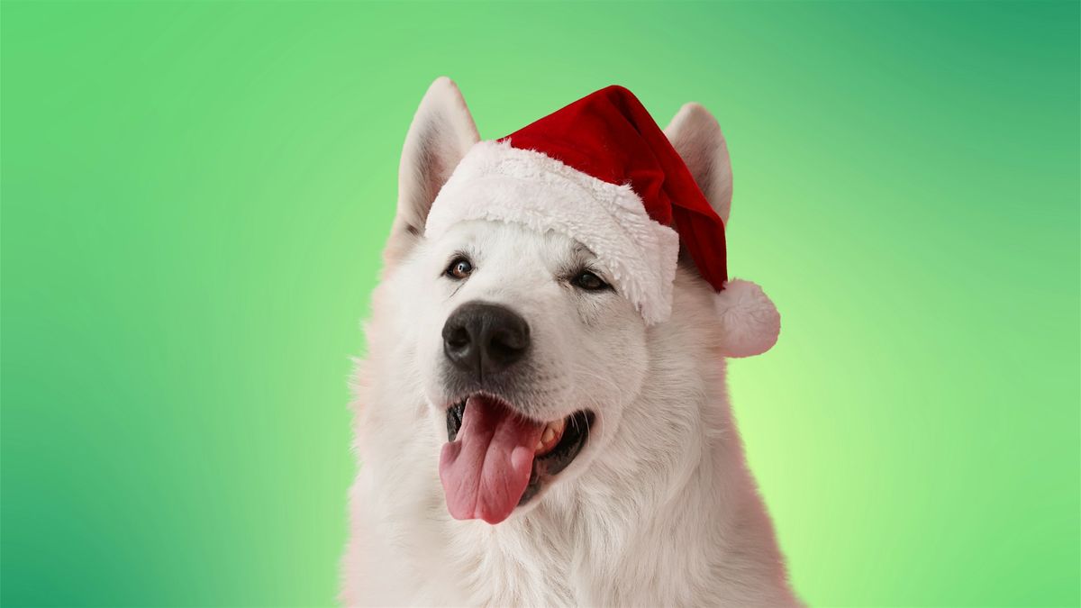 Santa Paws Pup Pix - Saturday