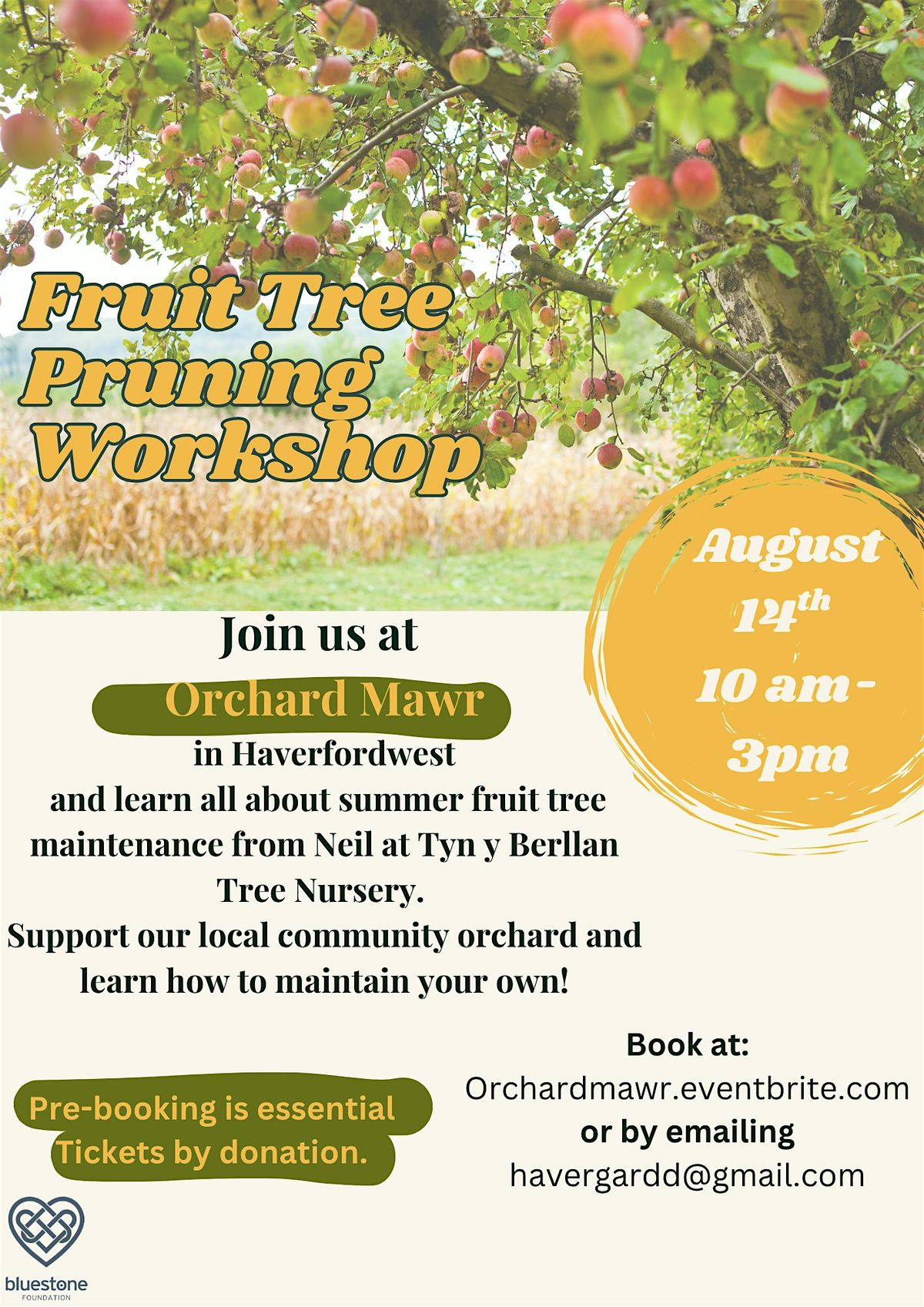 Fruit Tree Pruning at Orchard Mawr