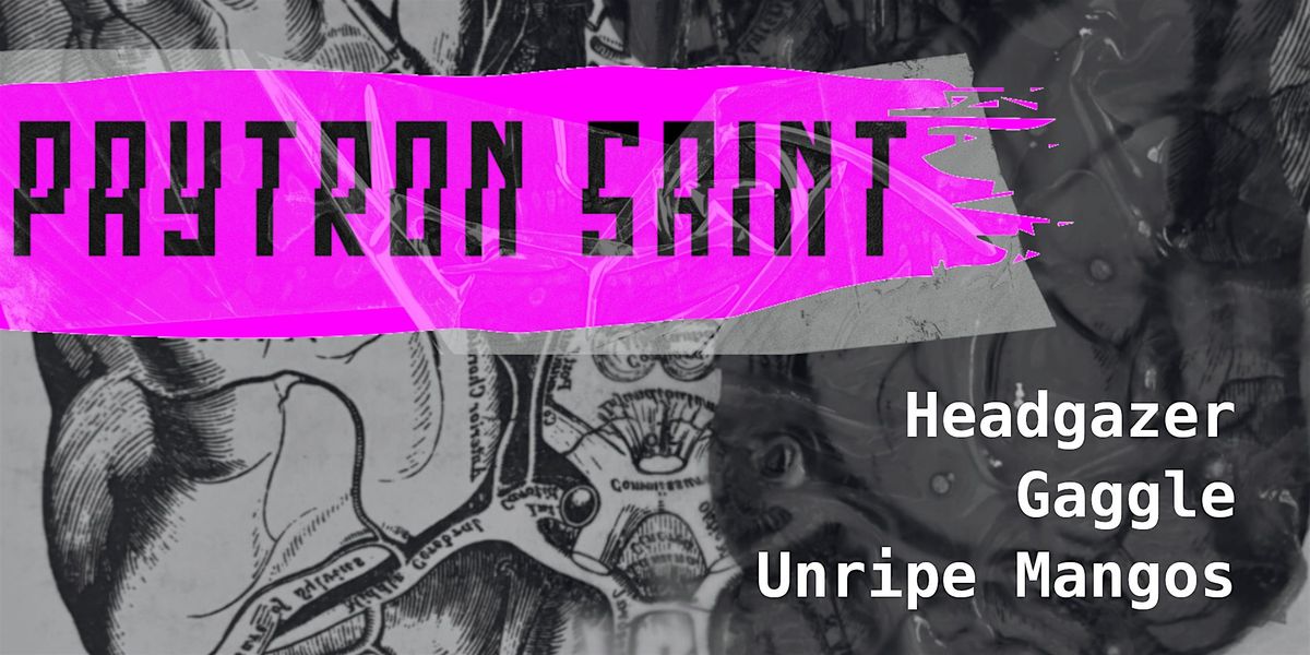 Paytron Saint (Alt. Rock \/ Grunge) + Guests \u2013 Live at Dubrek Studios