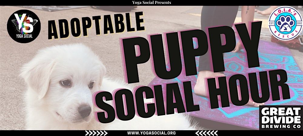 Adoptable Puppy Social Hour at Great Divide Bar