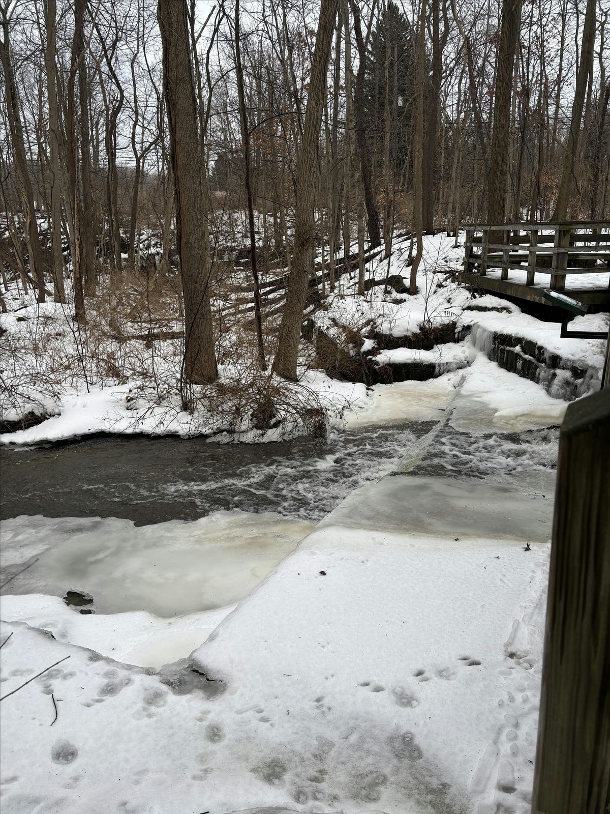 The Buckeye Trail -- It's Right Here in Kirtland!