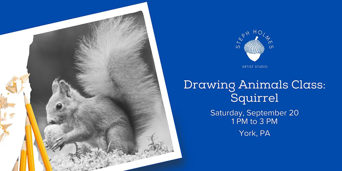 Drawing Animals Class: Squirrel