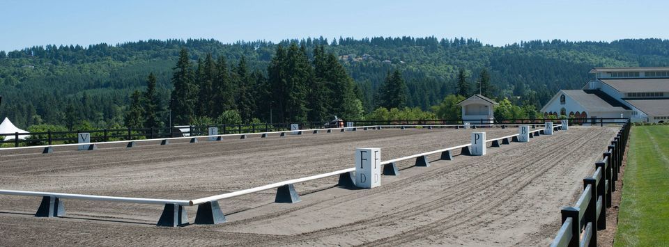 Region 4 AHA Arabian Sport Horse Championships