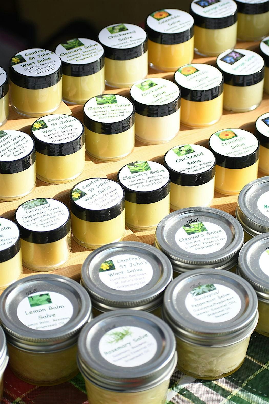 Make Your Own Herbal Salves and Balms