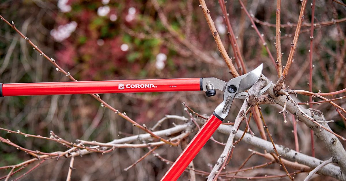 Winter Pruning Seminar- Pahrump