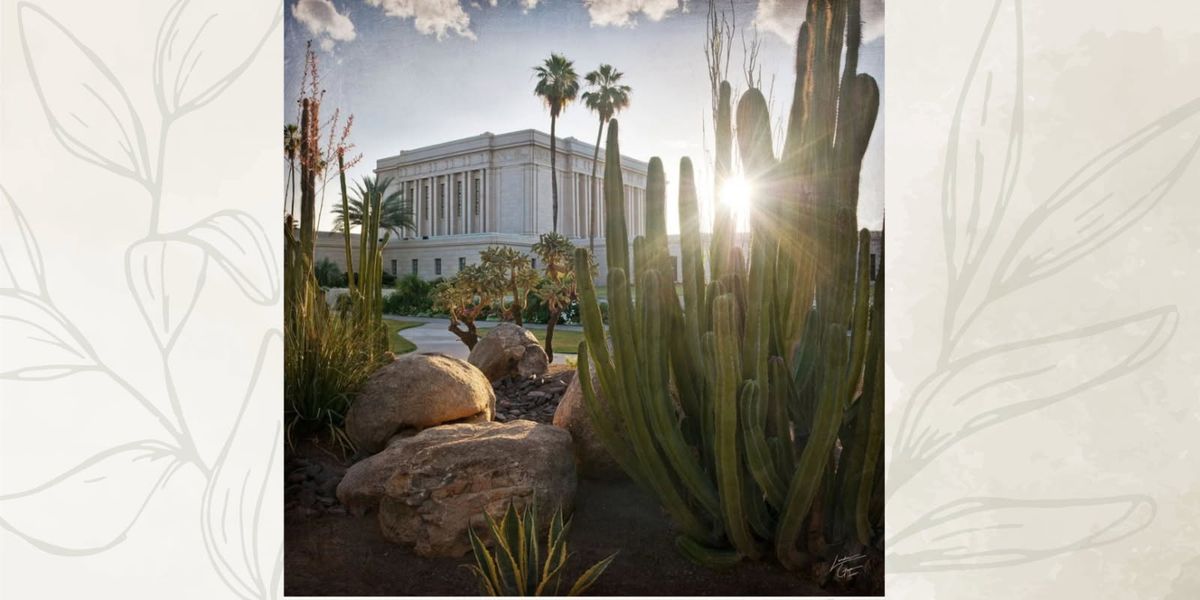 Fountain Hills Ward Temple Day