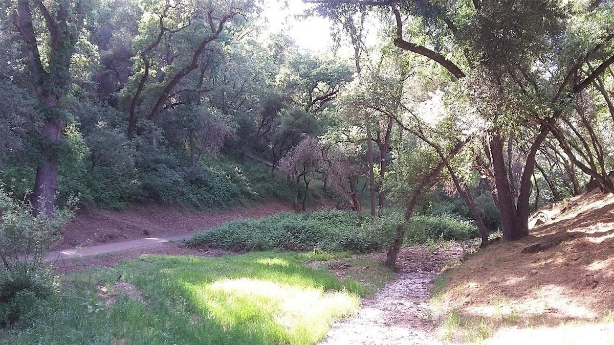 Dragoon Gulch Moai starts August 27, BZP Tuolumne