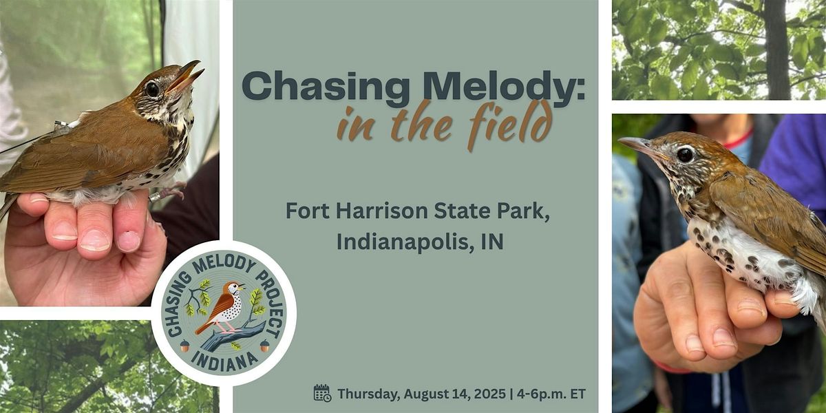 Chasing Melody: In the Field