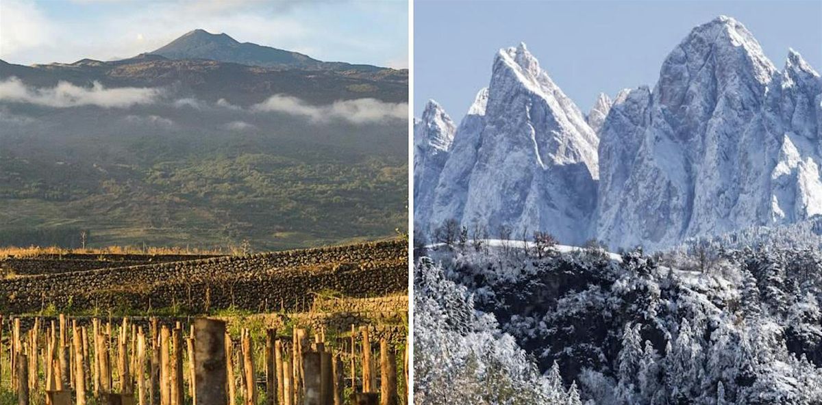 Etna DOC, Alto Adige DOC & Pecorino Romano PDO Masterclass