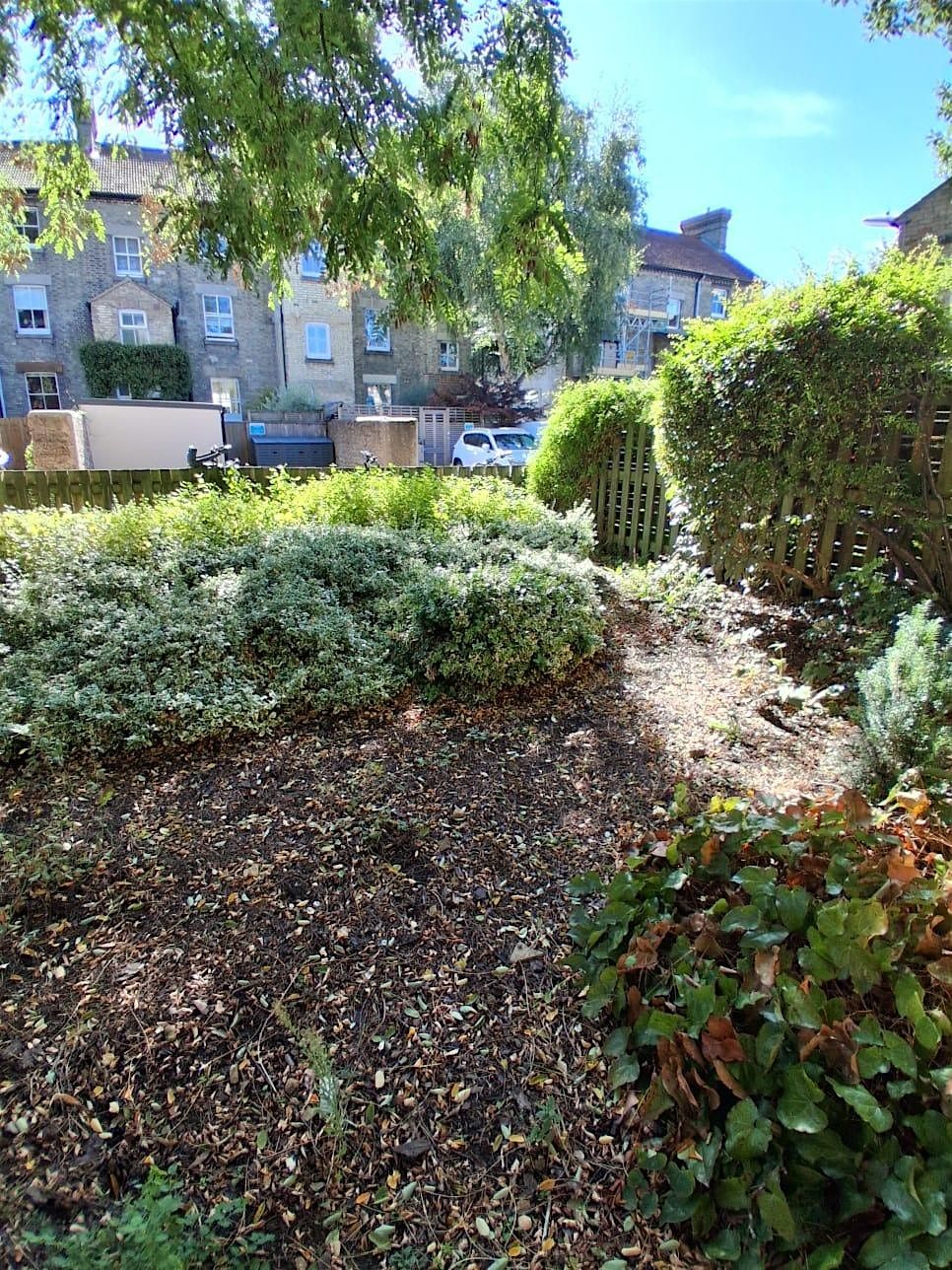 Garden of Eden 2.0: Feeding and Nurturing