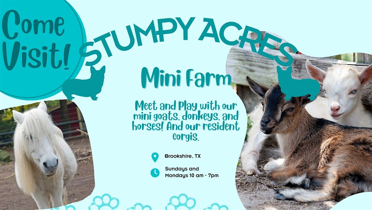 Play with Mini Farm Animals