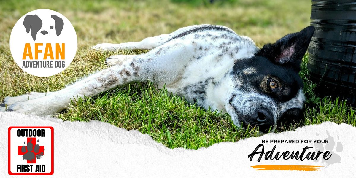 Outdoor Dog First Aid