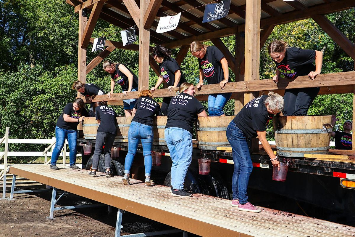Friday Grape Stomping Team