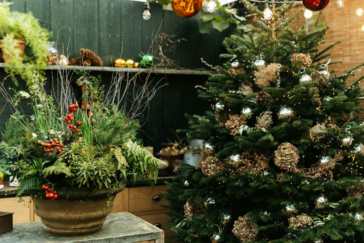 Festive  Stylish Containers