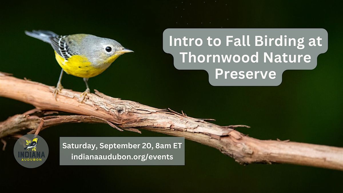 Intro to Fall Birding at Thornwood Nature Preserve