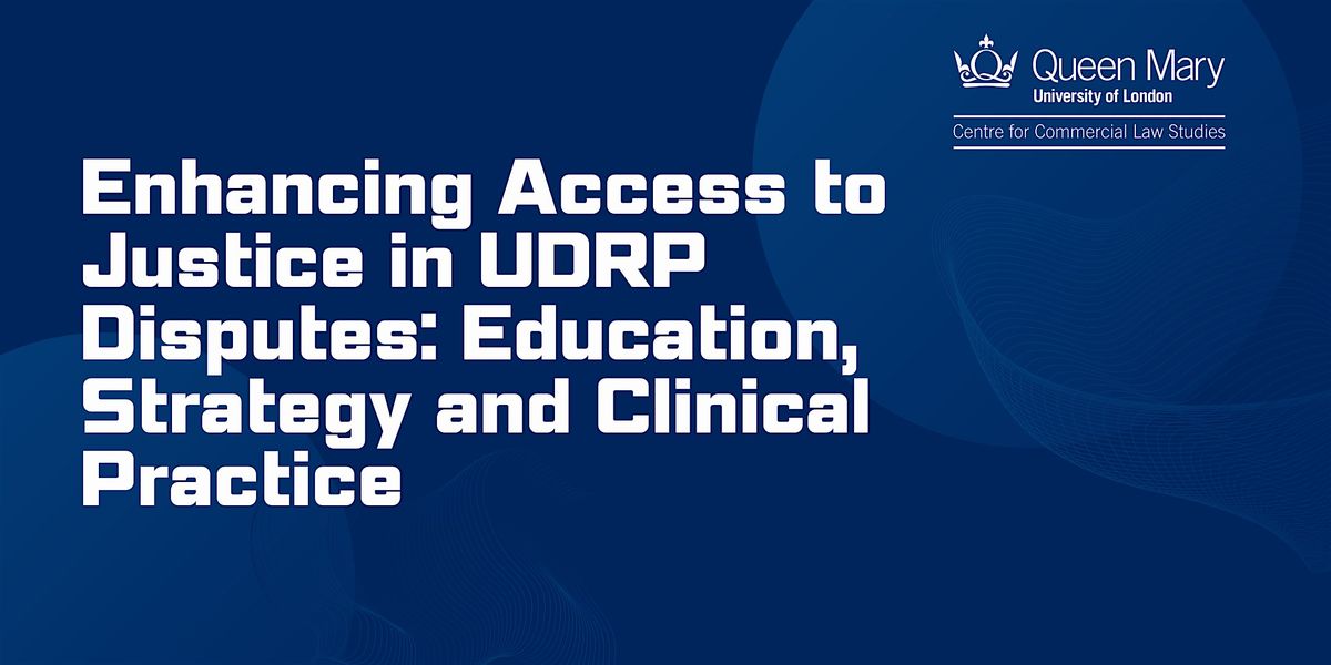 Enhancing Access to Justice in UDRP Disputes:
