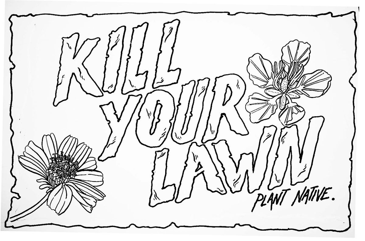 K*ll YOUR LAWN SOUTH TEXAS - $20 Don