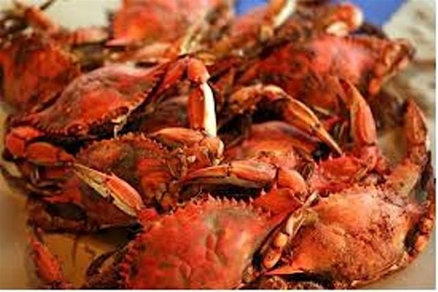 Blue Crabs, Football & Beer Feast  - Sumter Original Brewery