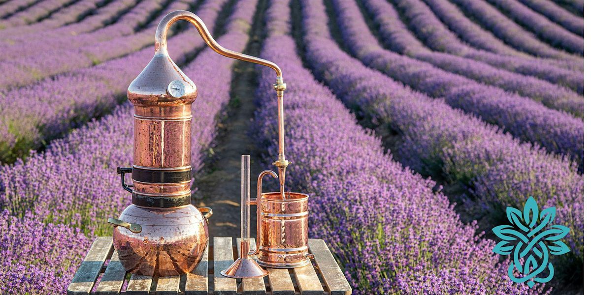 CUIDADO Y NUTRICI\u00d3N DE LA PIEL DESPUES DEL INVIERNO \u2728