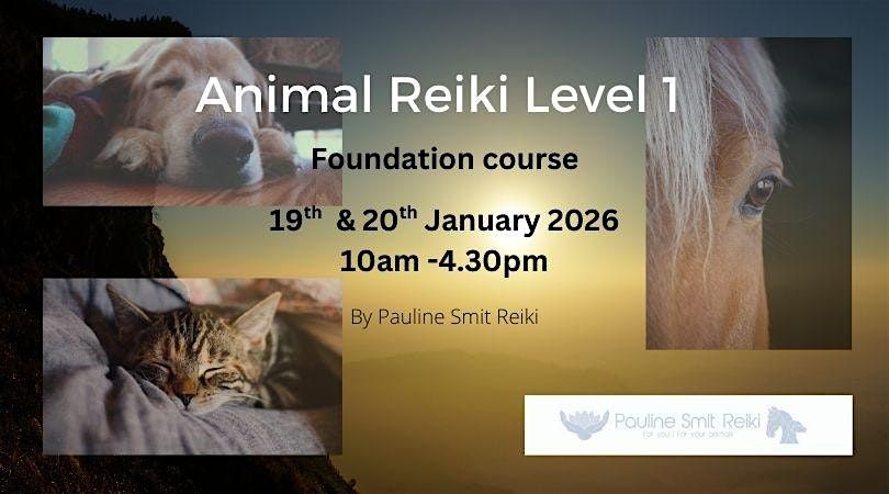 Animal Reiki level 1 (foundation) (2 days)