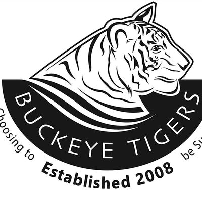 Buckeye Tigers Aviation Programs