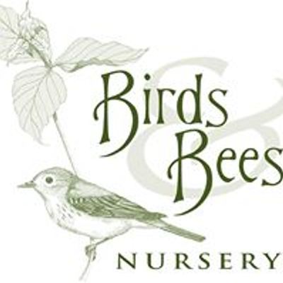 Birds & Bees Nursery