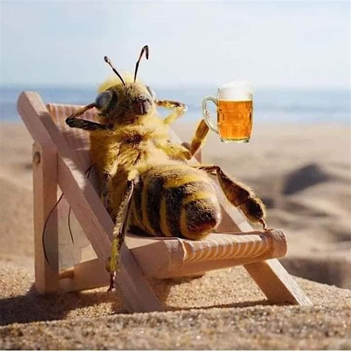 Lear how to make honey wine or mead.
