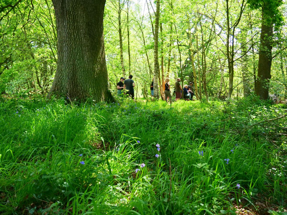 NWT Sweet Briar Marshes: Explore with the warden (14 January)