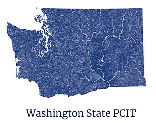 2025 - Washington States\u2019 Annual Regional PCIT Conference
