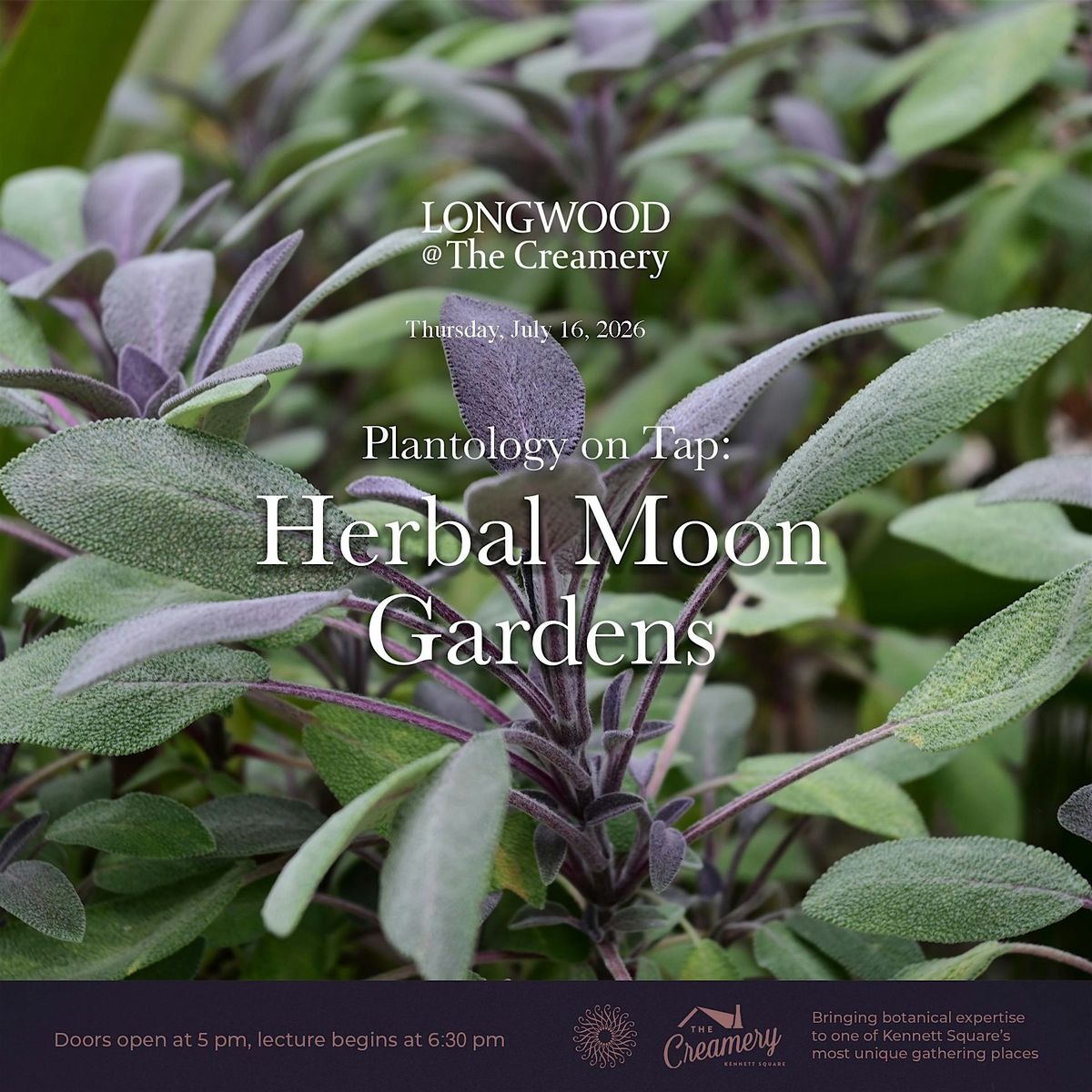 Plantology on Tap: Herbal Moon Gardens