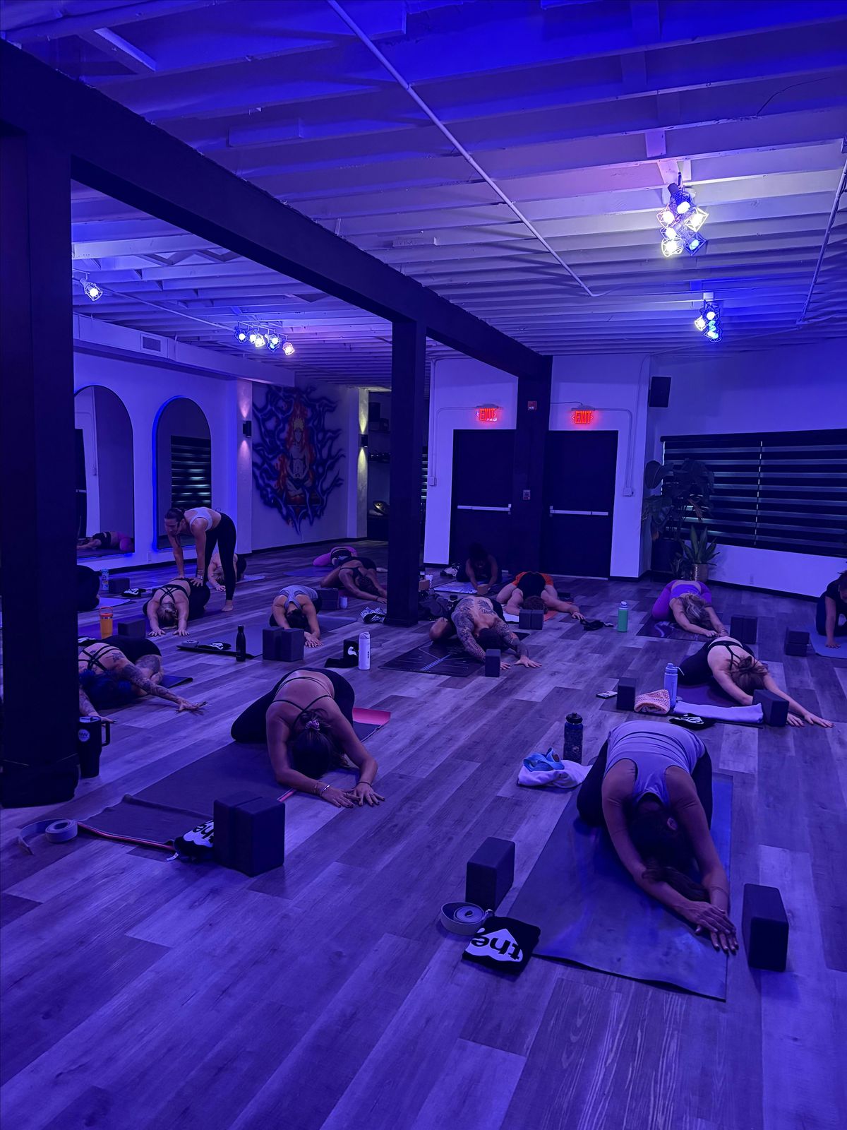 Free Vinyasa Yoga Class with Molly Weintraub