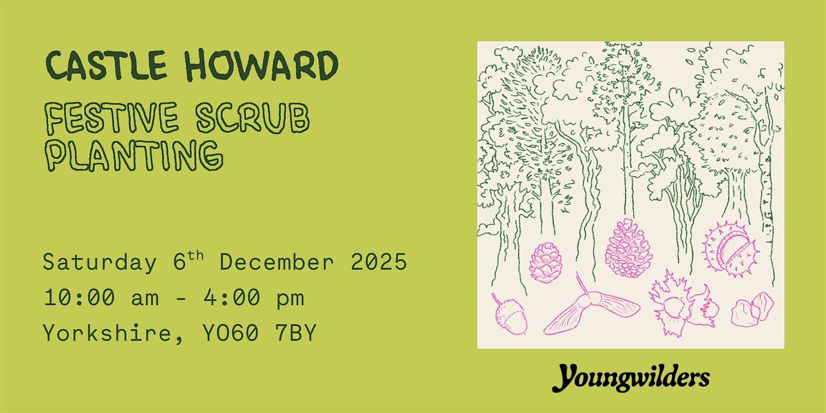 Castle Howard Festive Planting