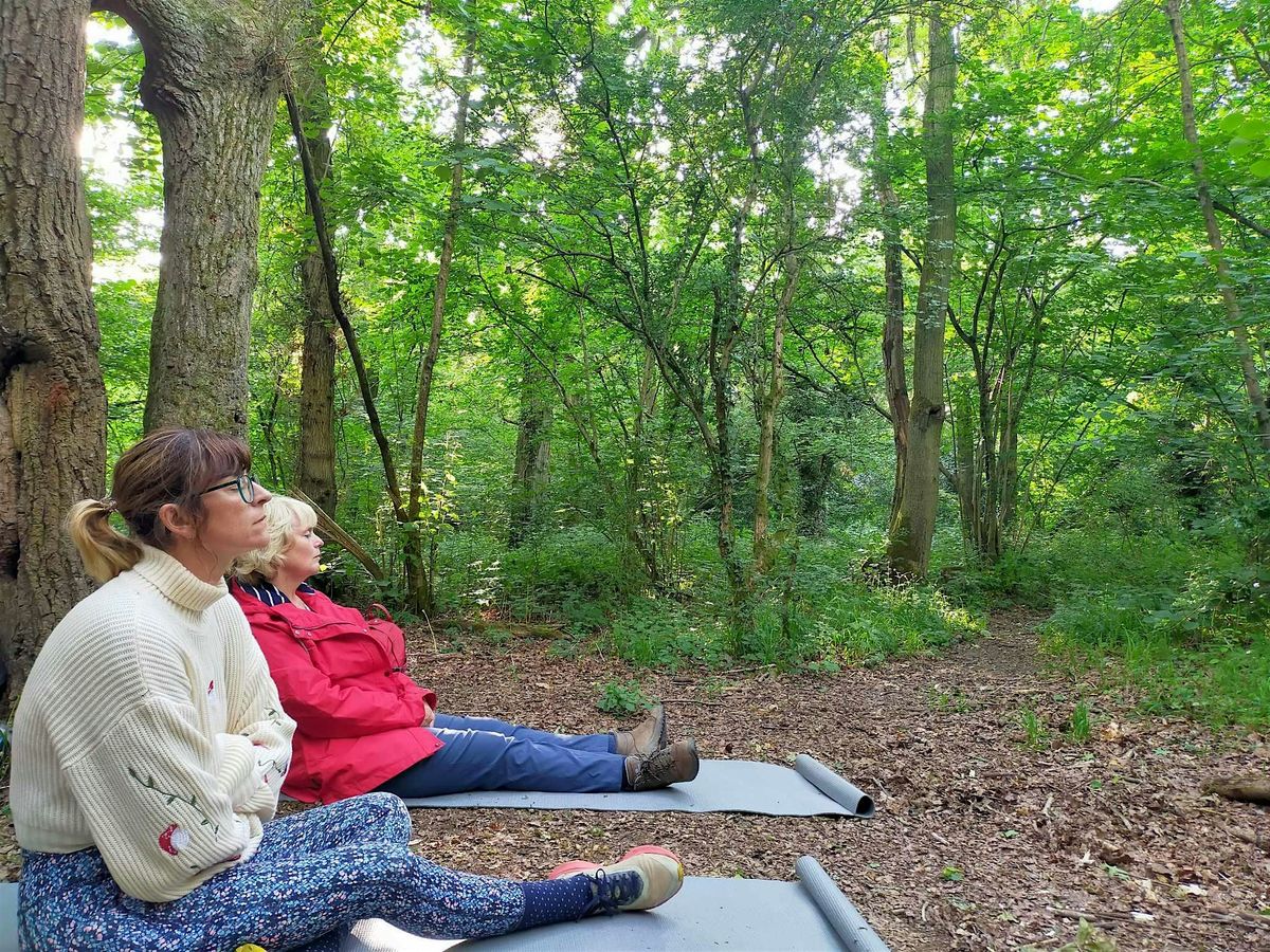 Forest Bathing, Mindfulness and Wellbeing Walk, Penrose