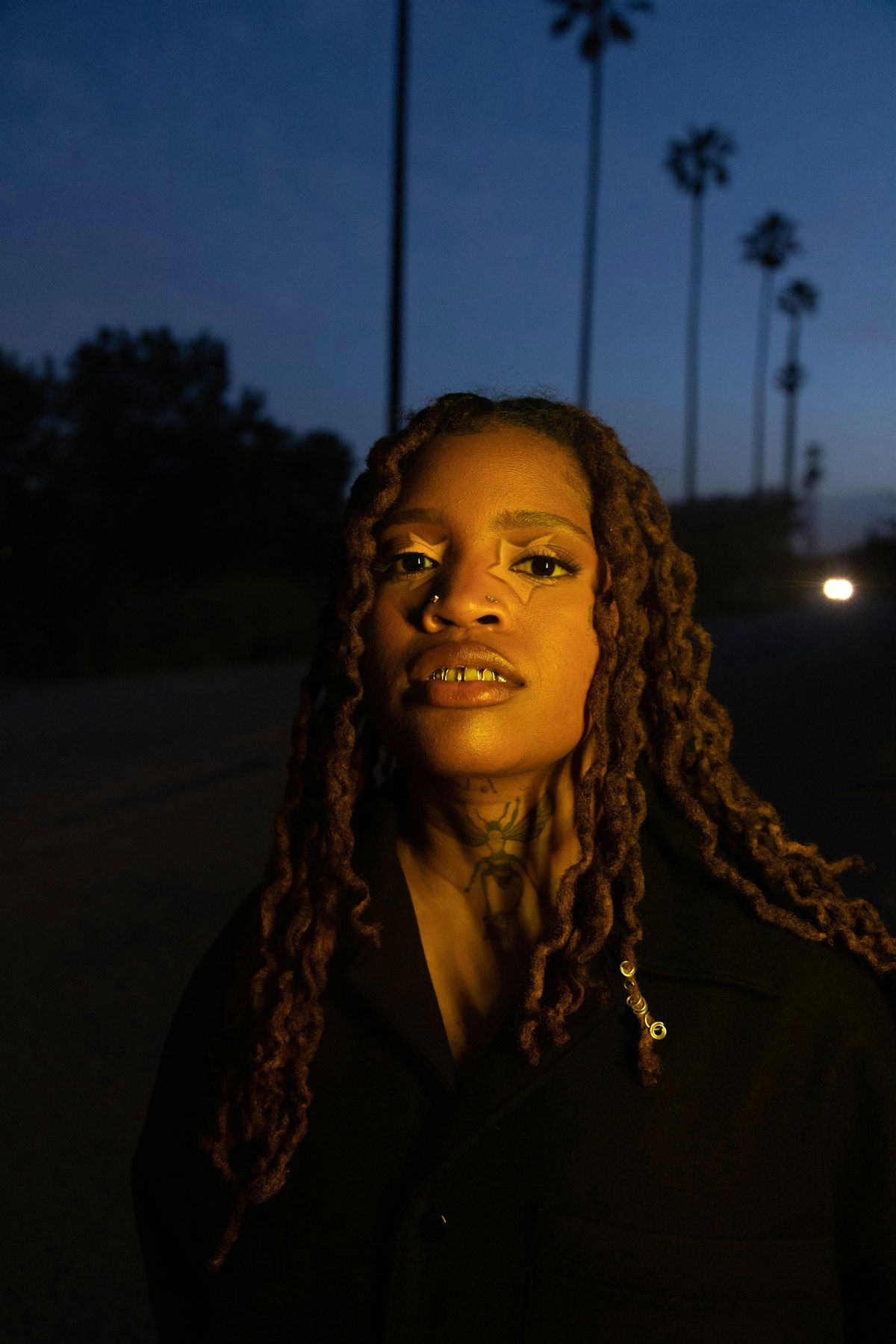 Ambr\u00e9 VIP Meet & Greet Upgrade (Ticketless) \u2014 VANCOUVER, CANADA