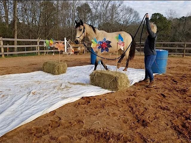 Confidence Through Curiosity (Desensitizing\/Bomb Proofing Clinic)