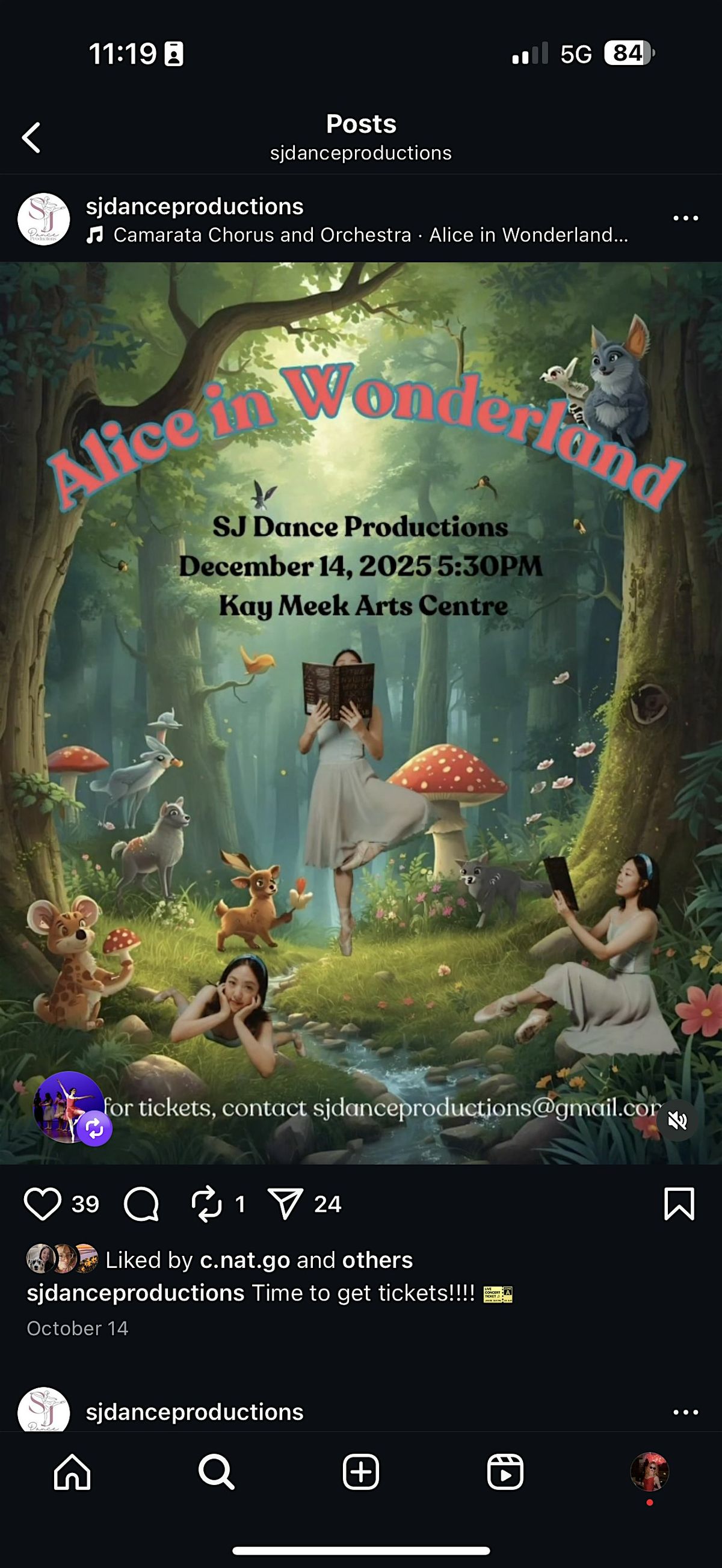 Alice in Wonderland Ballet Show