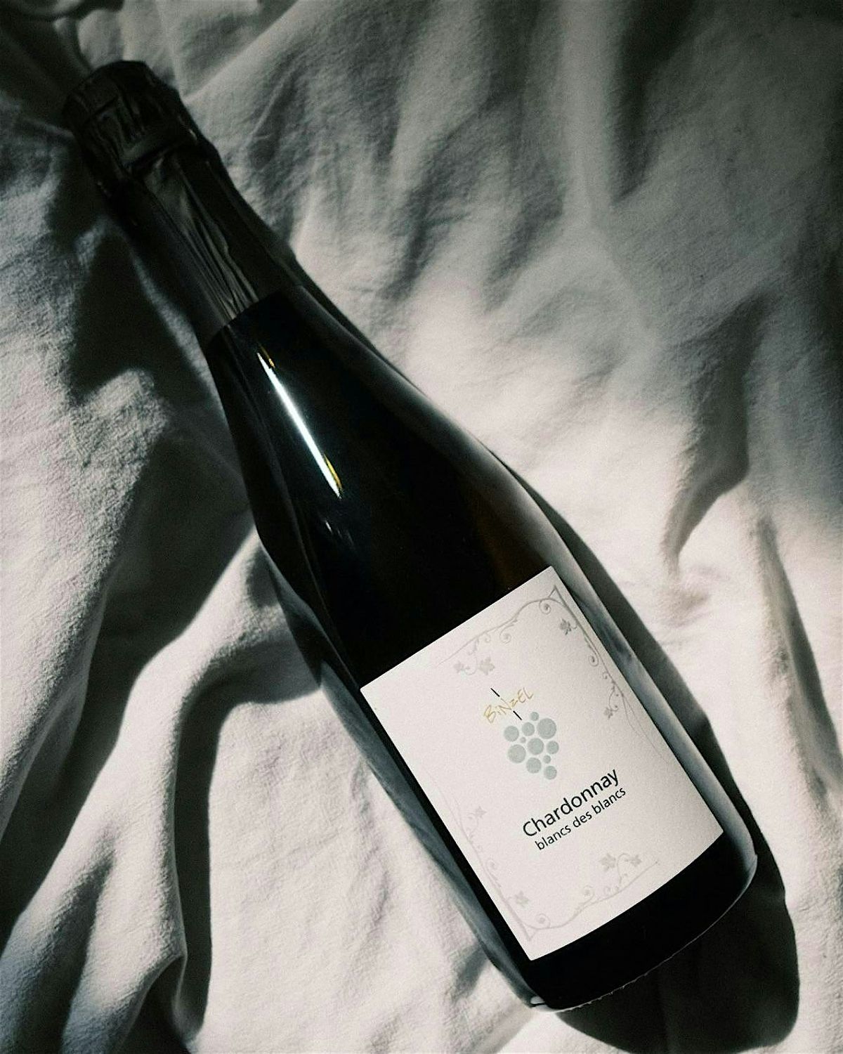 Binzel Sekt & Weintasting \u2013 2 Generationen. 1 Terroir. 3 Jahrhunderte.