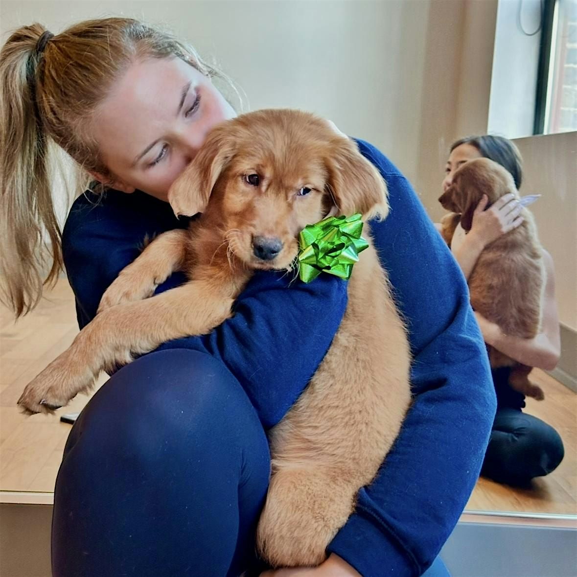 Puppy Yoga USA  - Brooklyn, NY