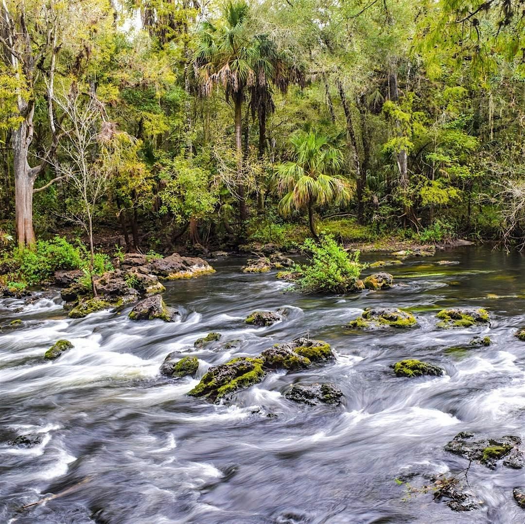 Archaeology Hike at Hillsborough River State Park