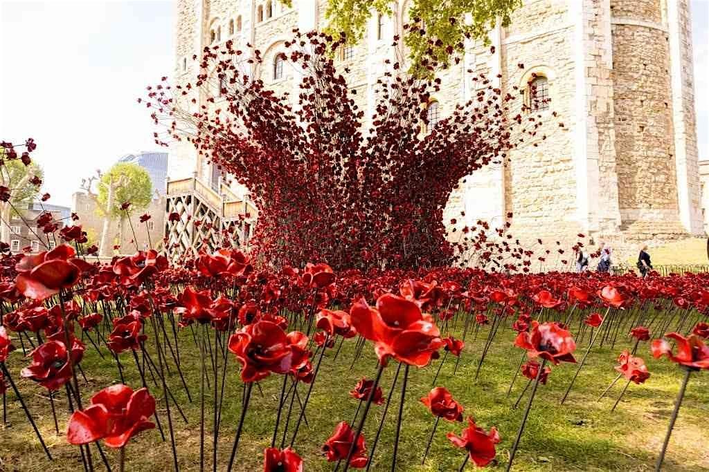 Move and Sketch in Tower of London