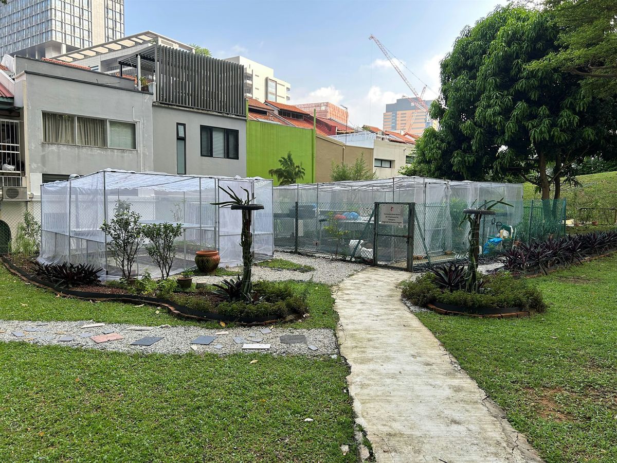 Guided tour on Lively Places Fund - Green Gaia
