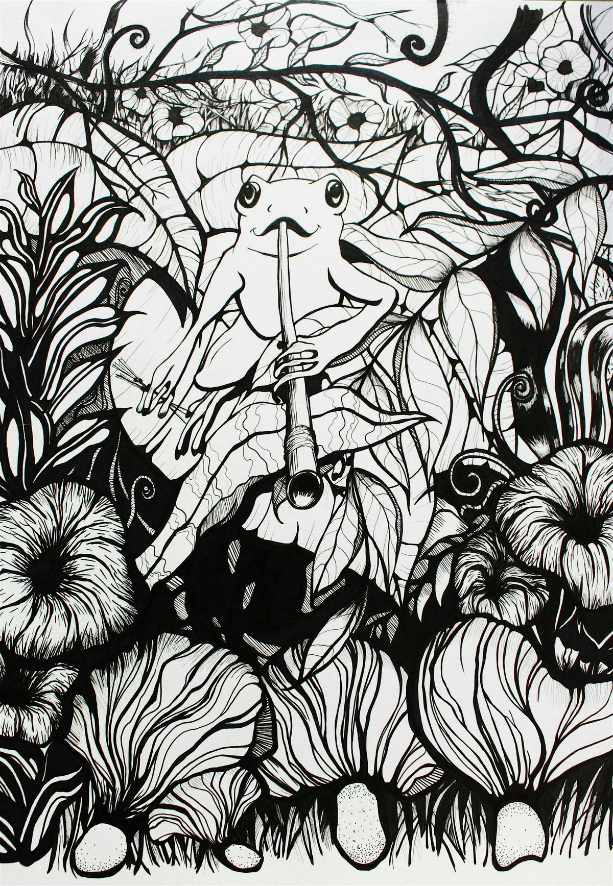 DRAWING With INK for Beginners - 4 Week Class