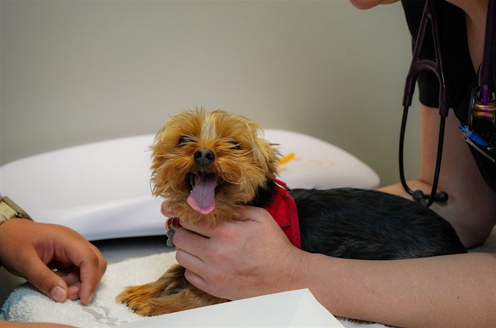 Low-Cost Vaccine Clinics - Roswell