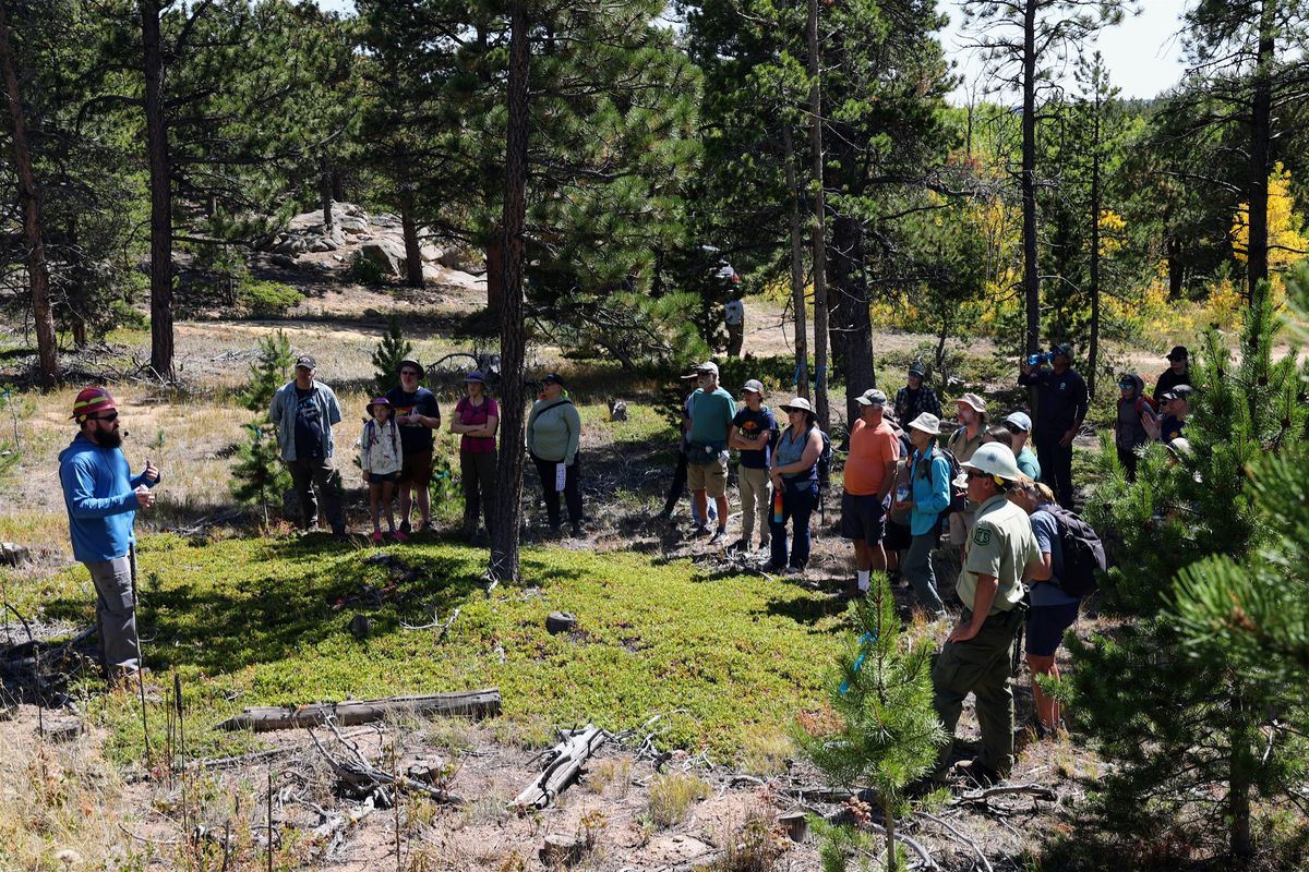 Coulson Gulch Forestry and Fire Resilience Field Tour